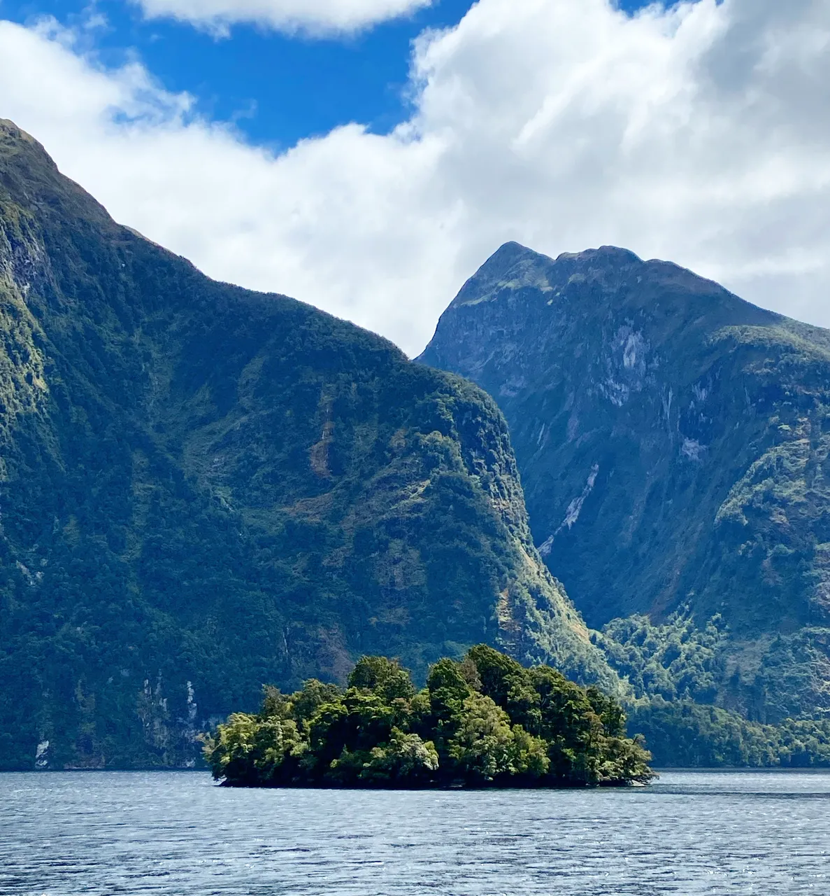Doubtful Sound - Southland, New Zealand - Credit Tim Roxborogh (2)