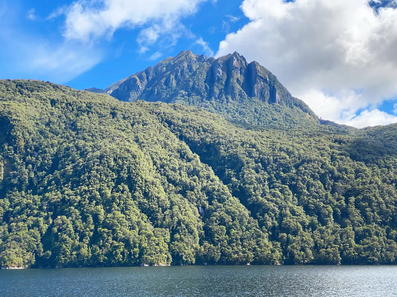 Doubtful Sound - Southland, New Zealand - Credit Tim Roxborogh (7)