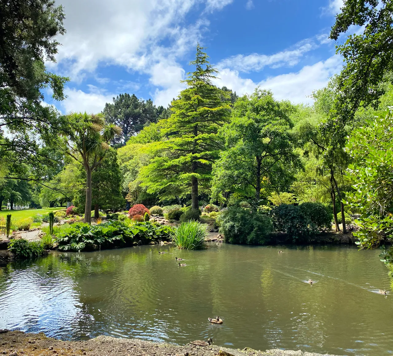 Queens Park - Southland, New Zealand - Credit Tim Roxborogh (3)