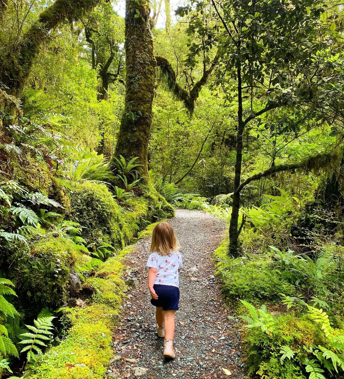 Milford Sound - Southland, New Zealand - Credit Tim Roxborogh (2)