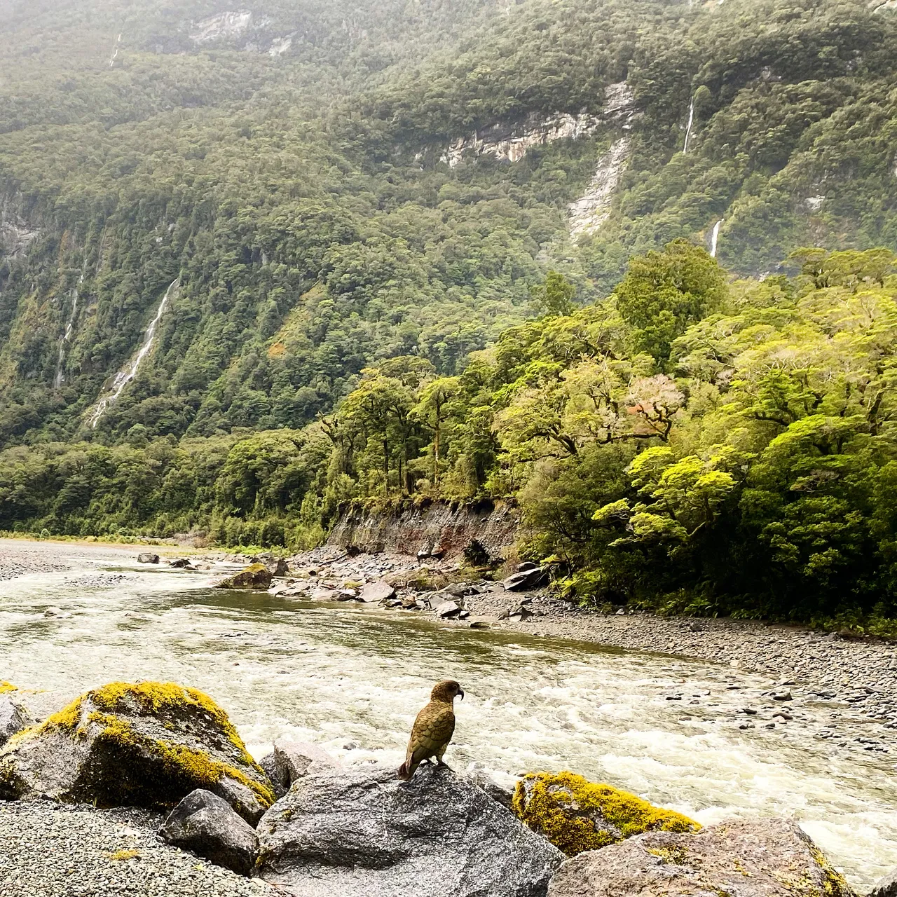 Milford Sound - Southland, New Zealand - Credit Tim Roxborogh (1)