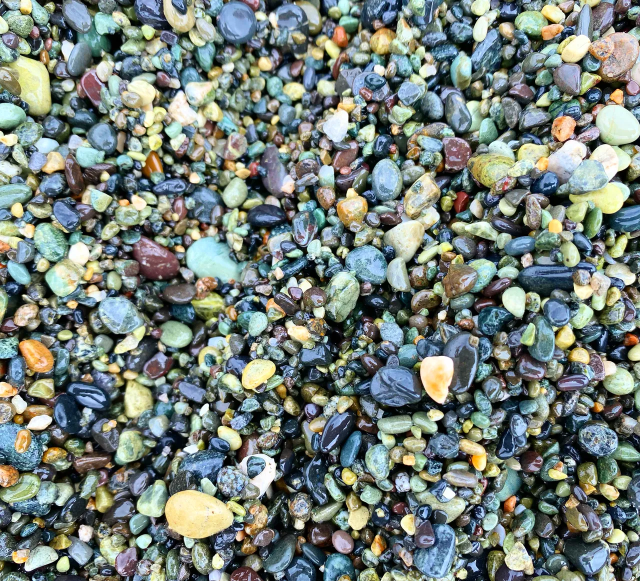 Gemstone Beach - Southland, New Zealand - Credit Tim Roxborogh (1)