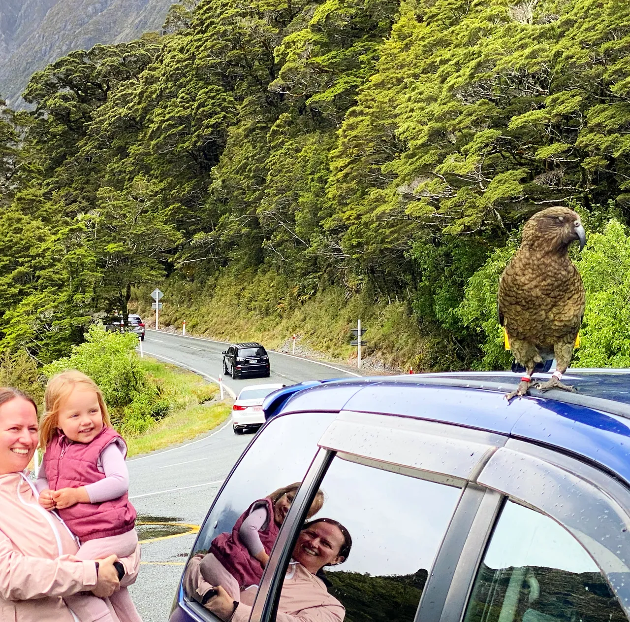 Milford Road - Southland, New Zealand - Credit Tim Roxborogh (1)
