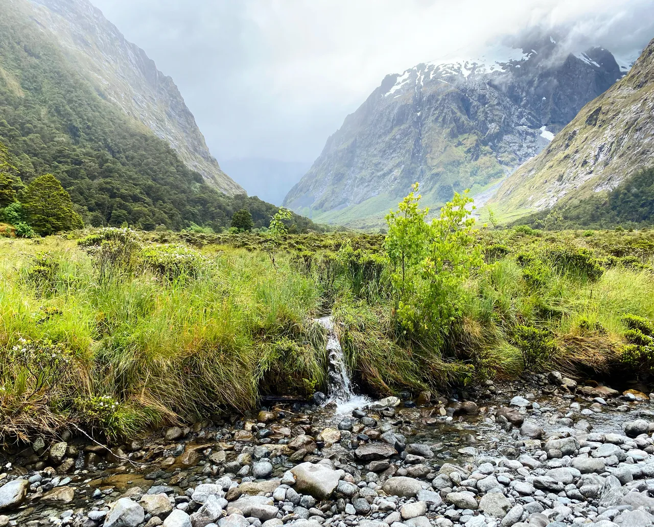 Milford Road - Southland, New Zealand - Credit Tim Roxborogh (2)