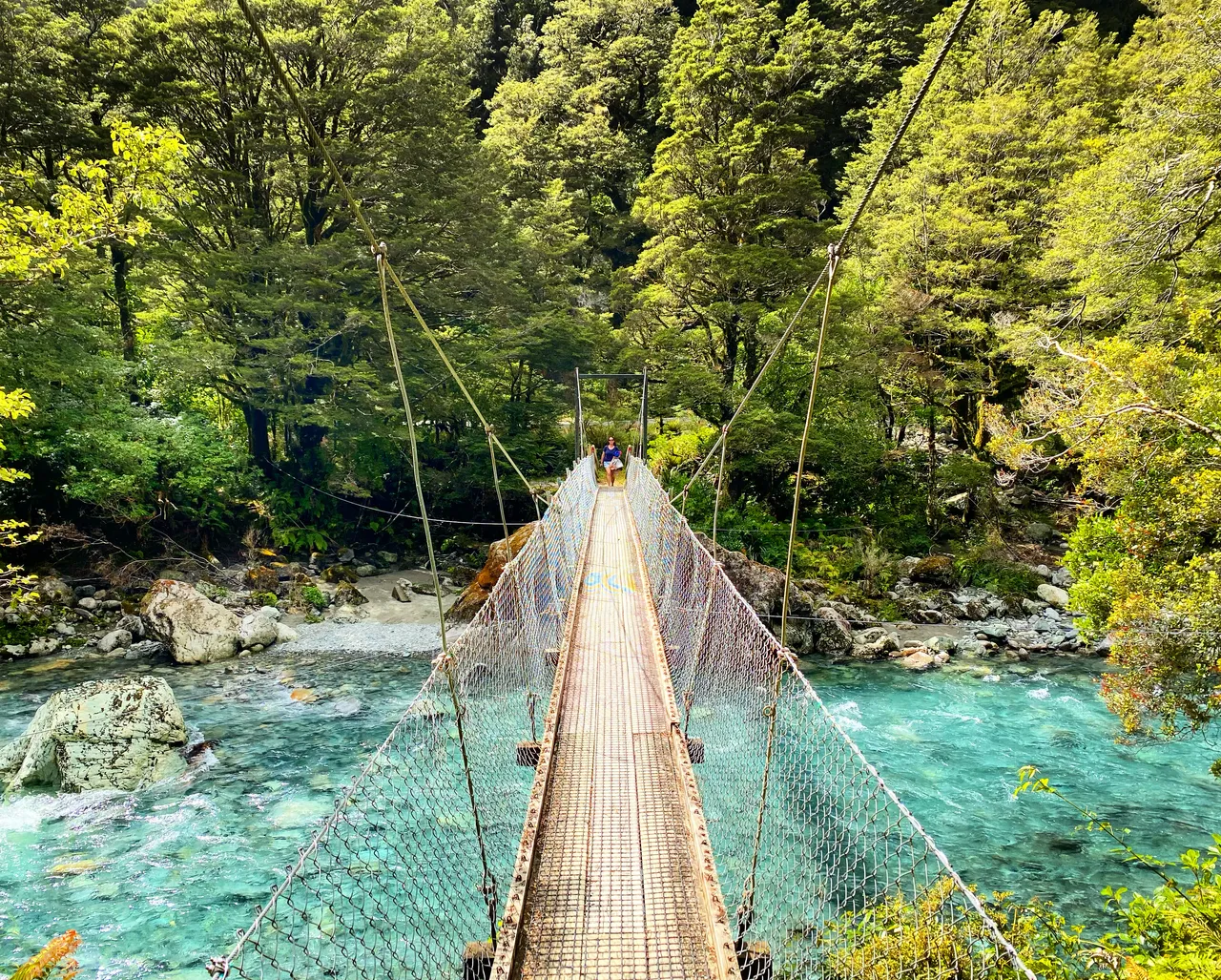 Lake Marian Swing Bridge - Southland, New Zealand - Credit Tim Roxborogh