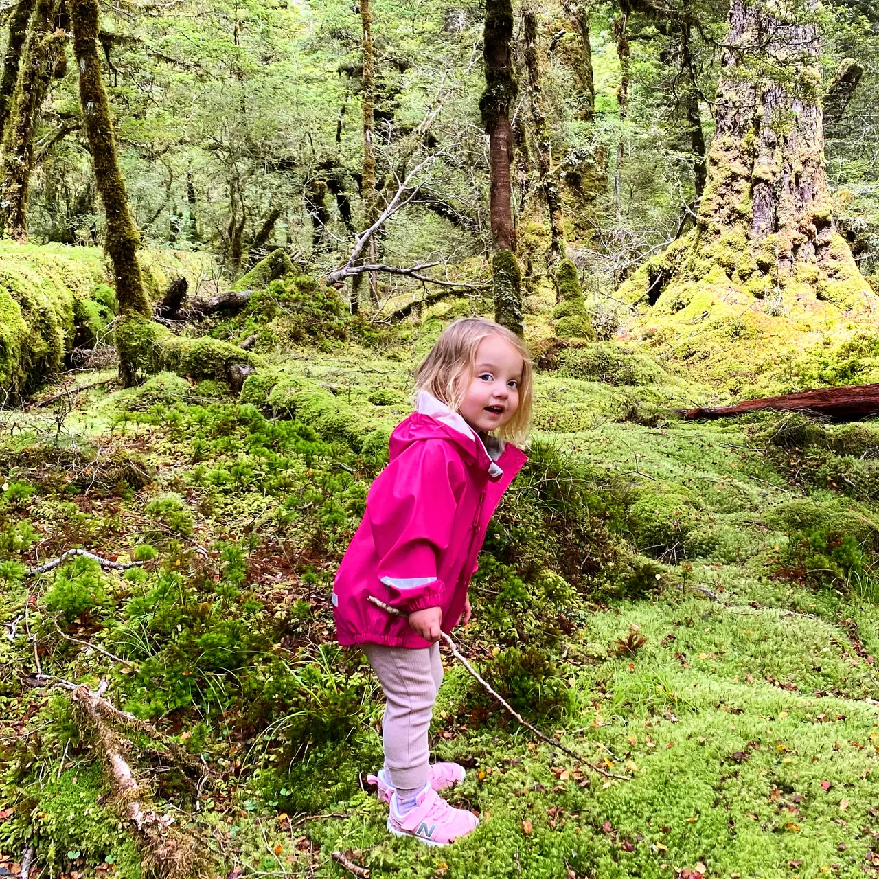 Lake Gunn Nature Walk - Southland, New Zealand - Credit Tim Roxborogh (3)