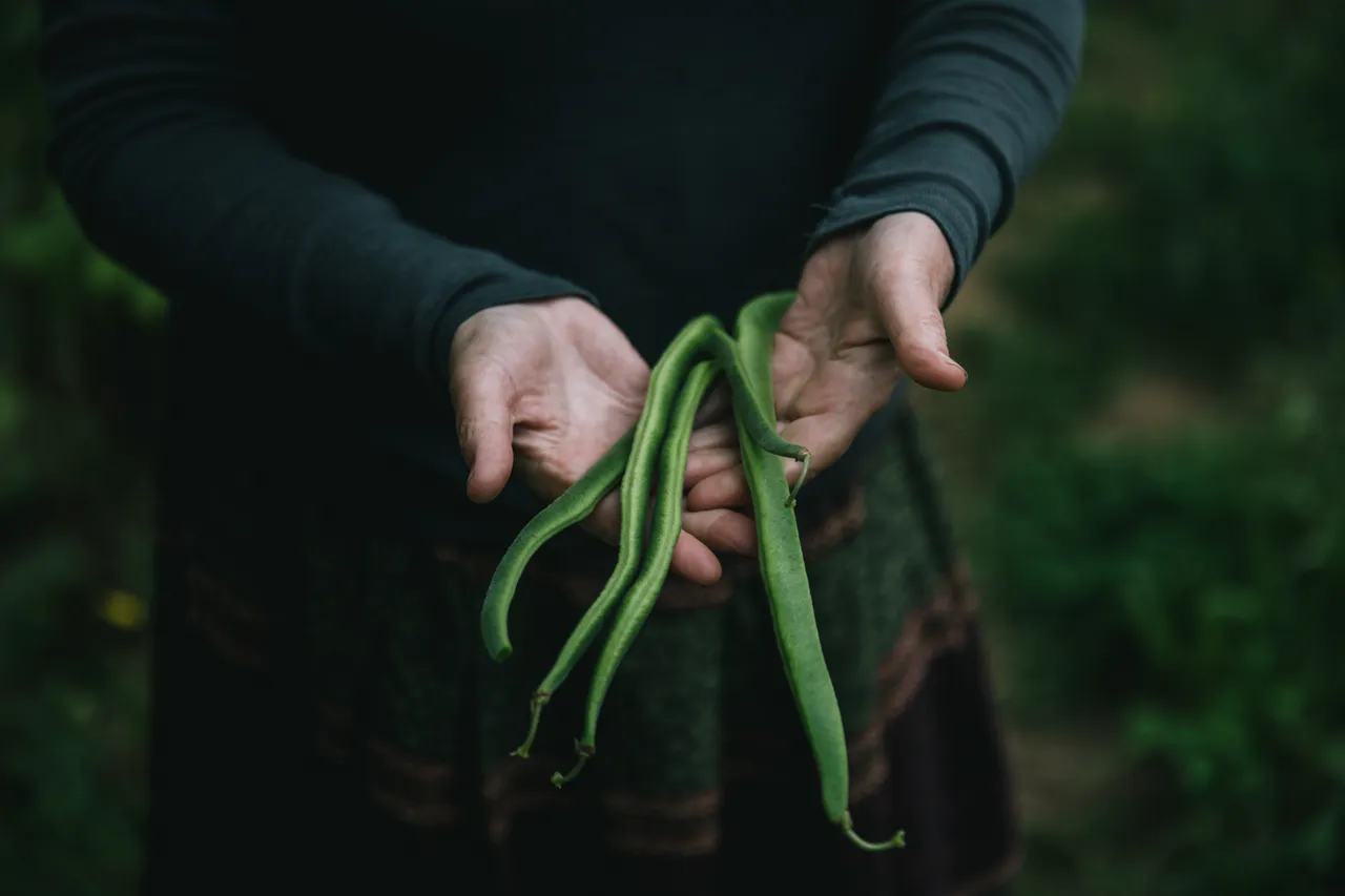 Food Forest Tour - Southland, New Zealand - Credit Liz Carlson (14)