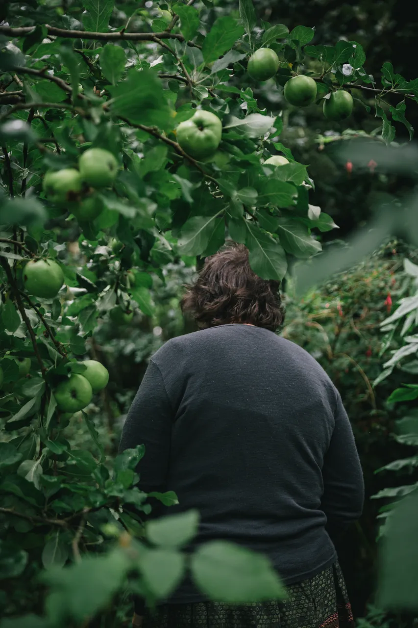 Food Forest Tour - Southland, New Zealand - Credit Liz Carlson (7)