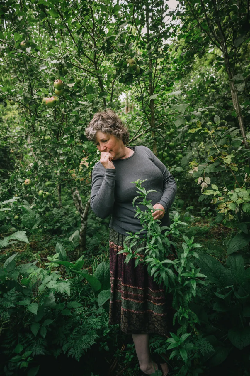 Food Forest Tour - Southland, New Zealand - Credit Liz Carlson (6)