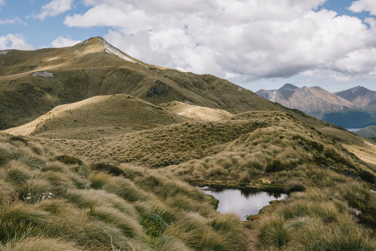 Borland Valley - Southland, New Zealand - Credit Liz Carlson (39)