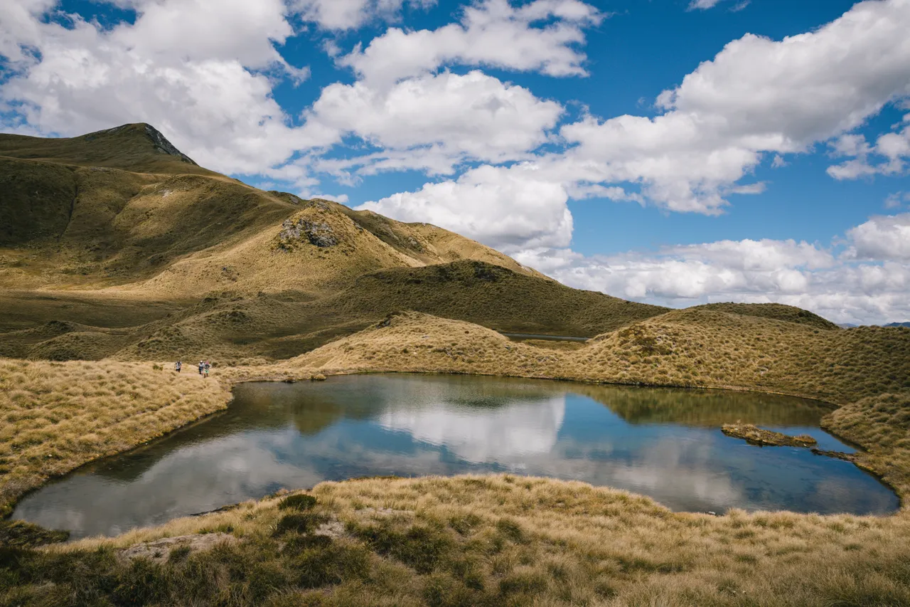 Borland Valley - Southland, New Zealand - Credit Liz Carlson (34)