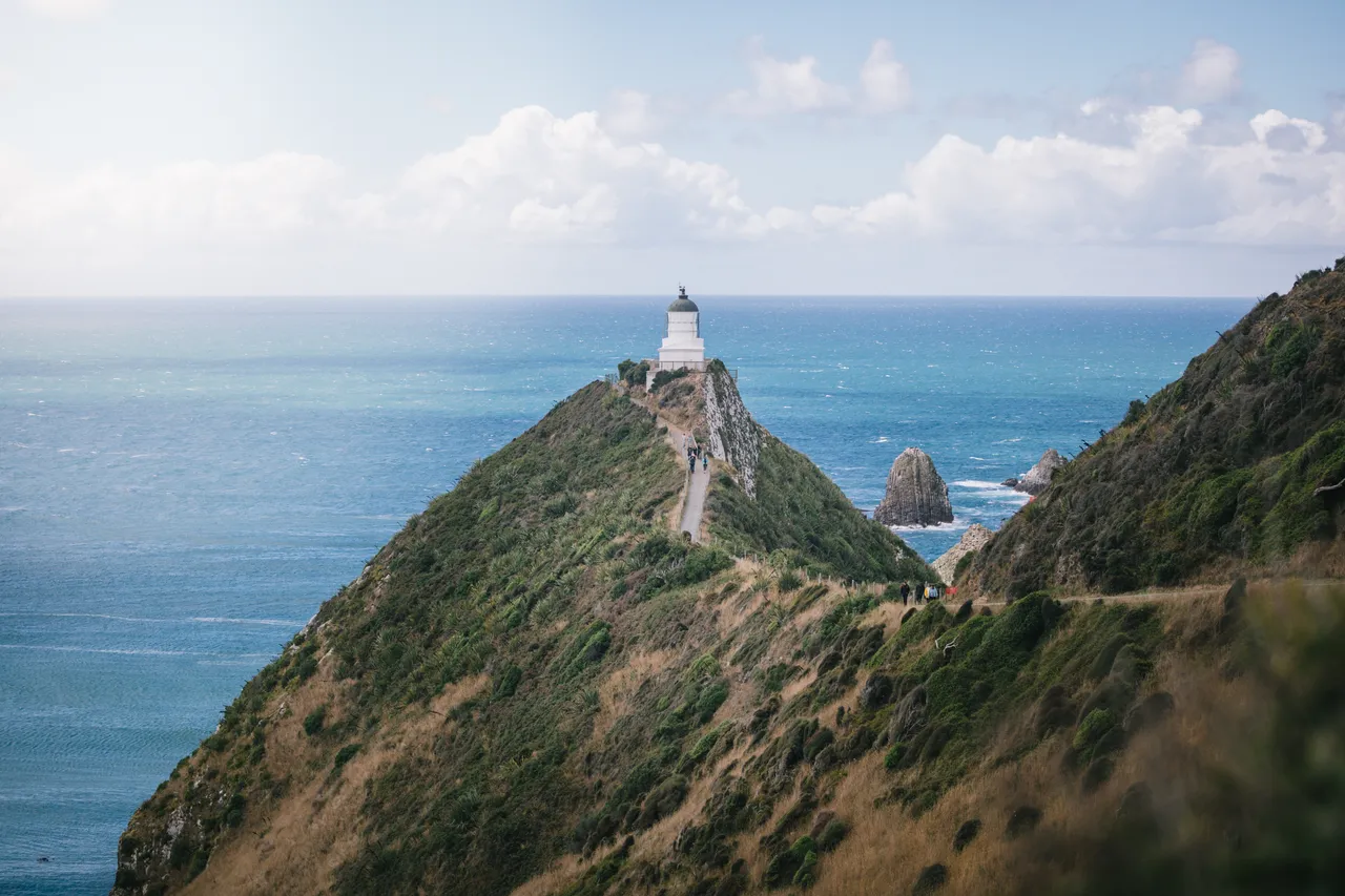 Nugget Point - Southland, New Zealand - Credit Liz Carlson (2)