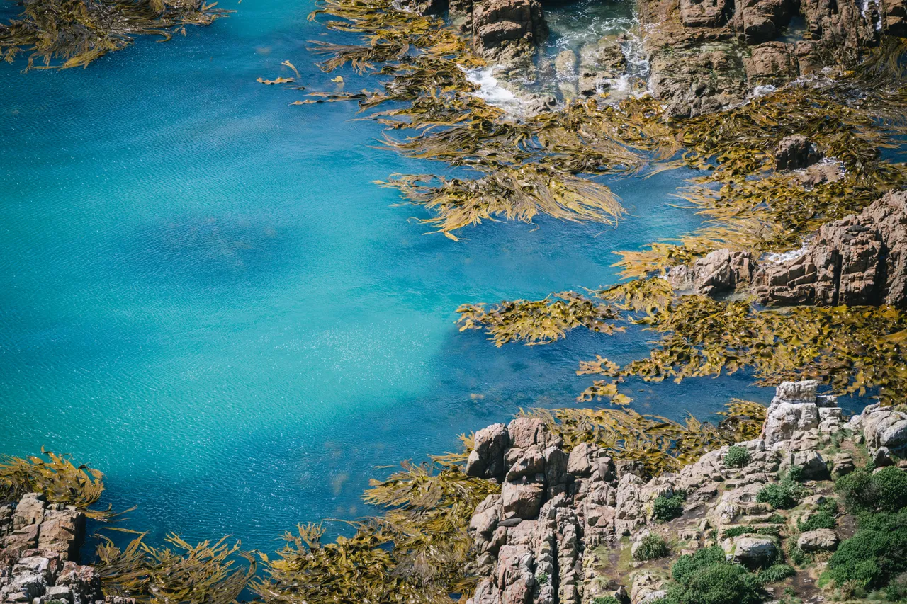 Nugget Point - Southland, New Zealand - Credit Liz Carlson (18)