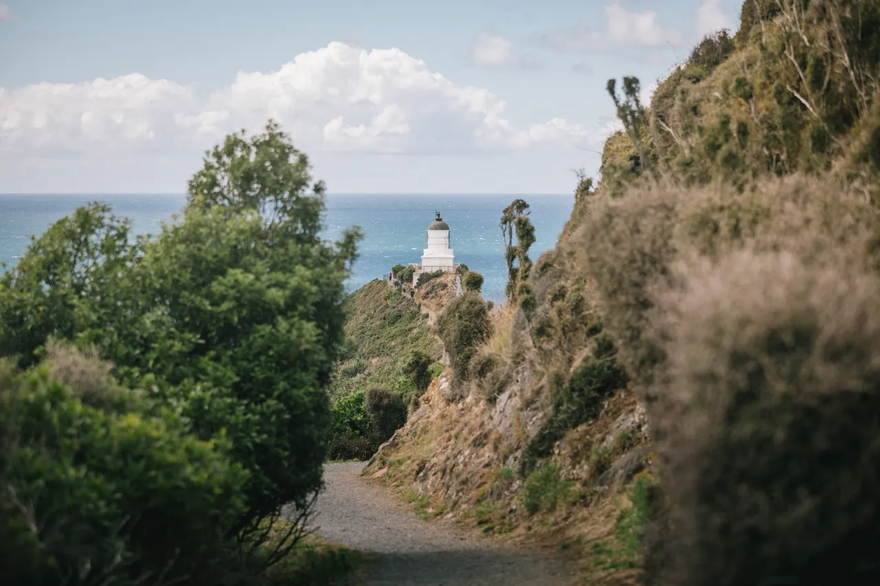 Nugget Point - Southland, New Zealand - Credit Liz Carlson (1)