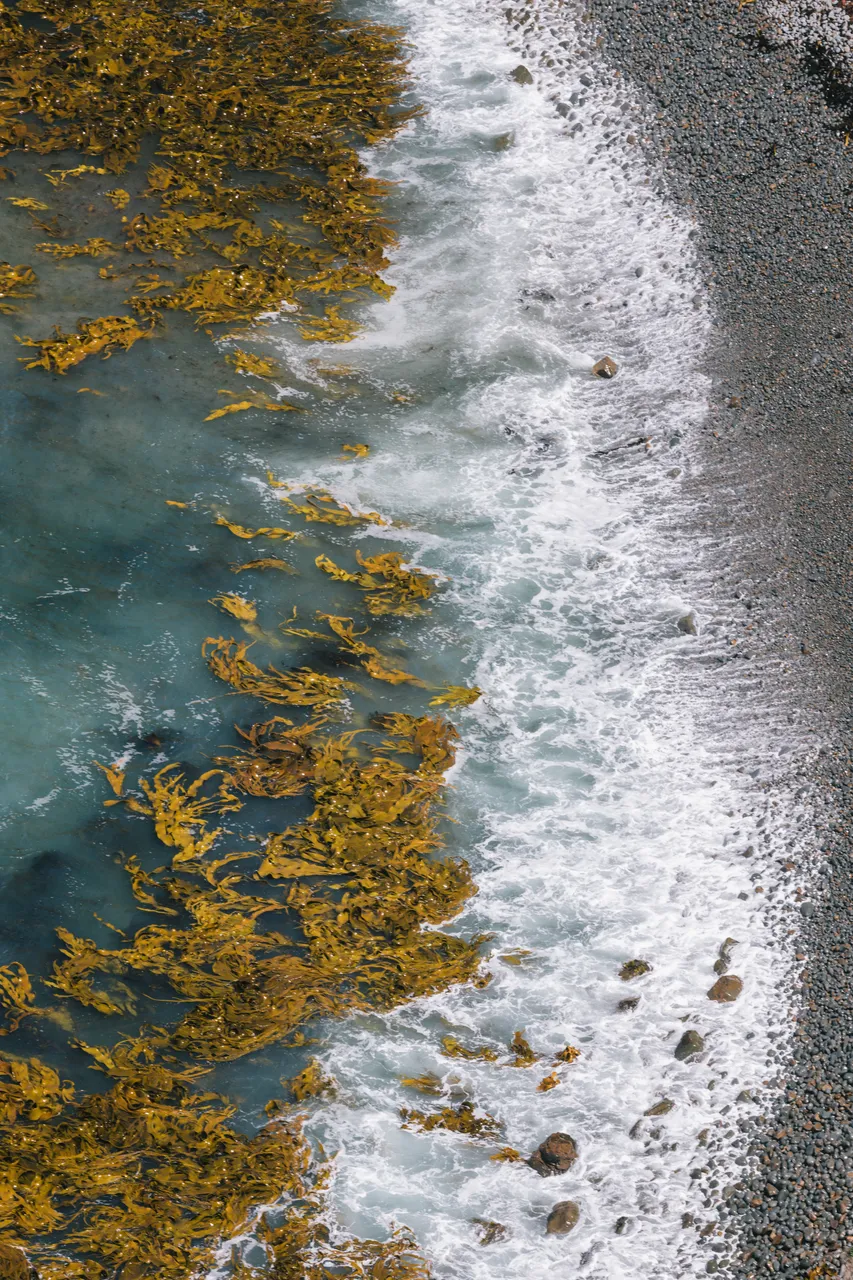 Nugget Point - Southland, New Zealand - Credit Liz Carlson (14)