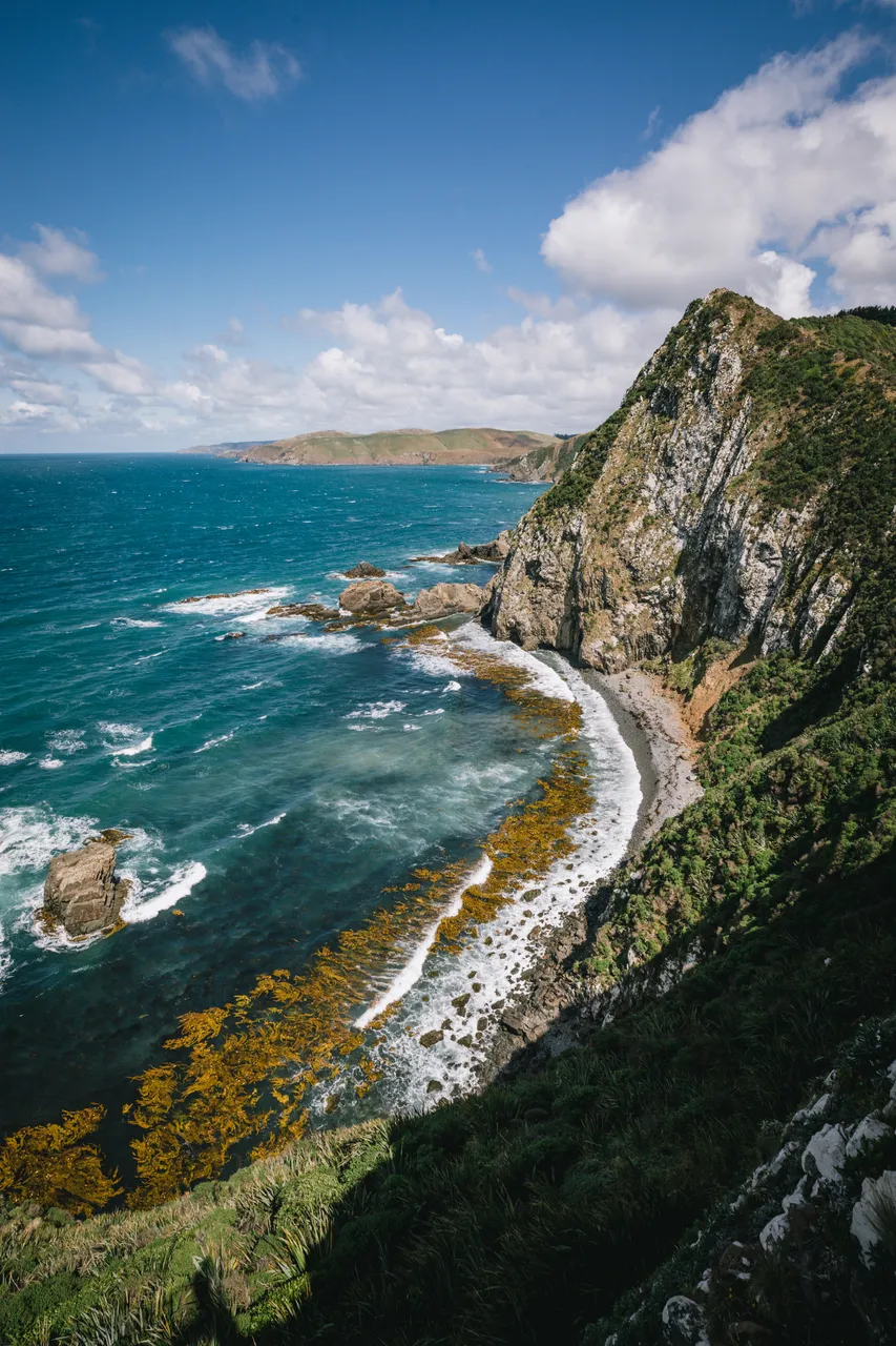 Nugget Point - Southland, New Zealand - Credit Liz Carlson (13)