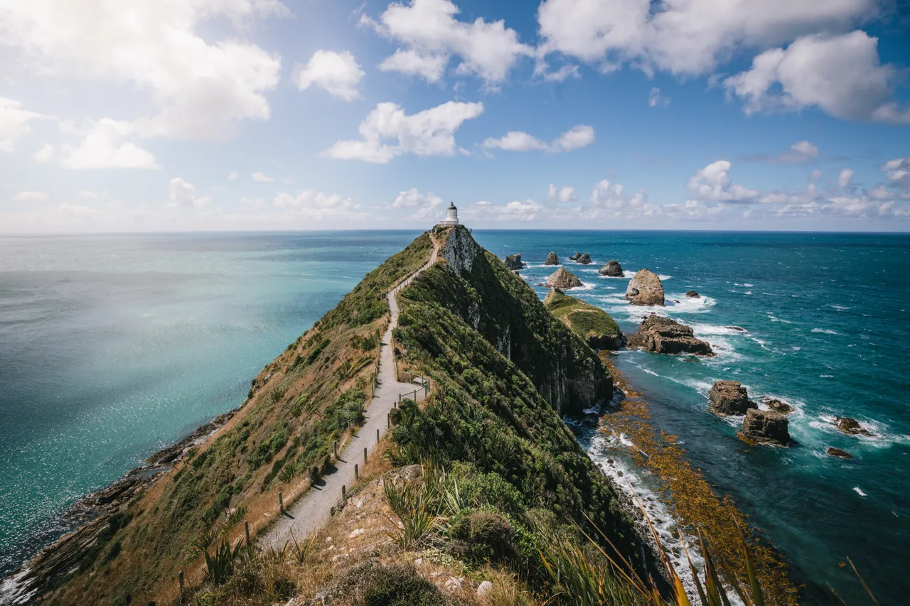 Nugget Point - Southland, New Zealand - Credit Liz Carlson (9)