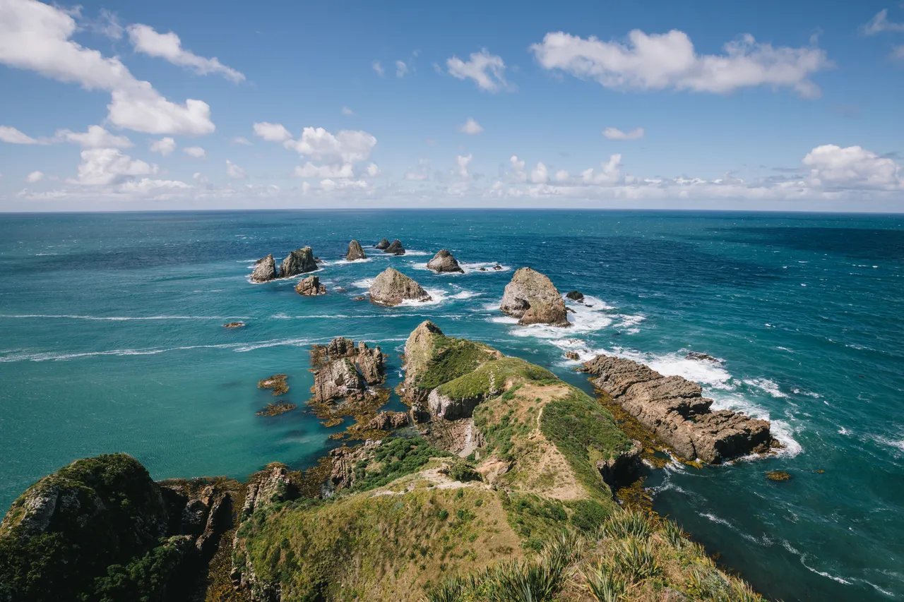 Nugget Point - Southland, New Zealand - Credit Liz Carlson (12)