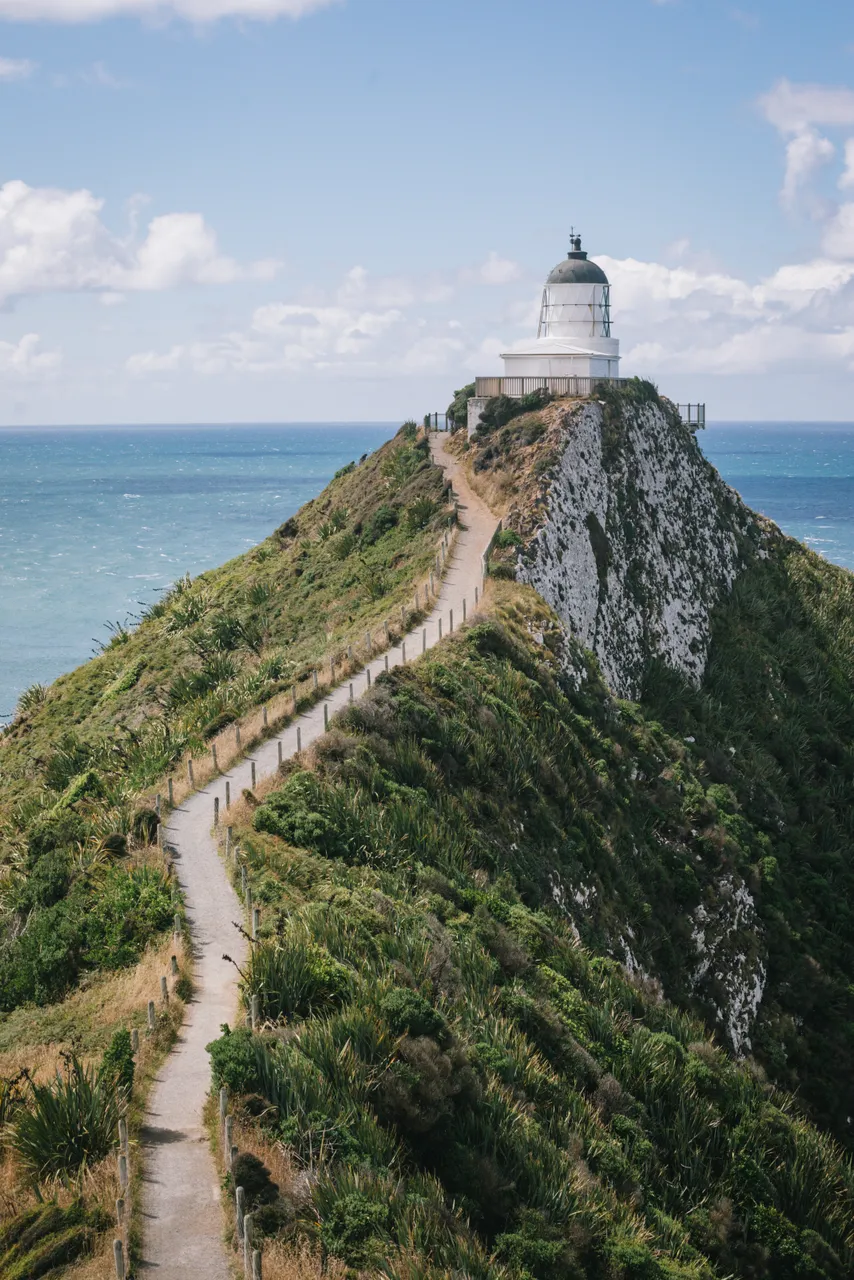 Nugget Point - Southland, New Zealand - Credit Liz Carlson (10)