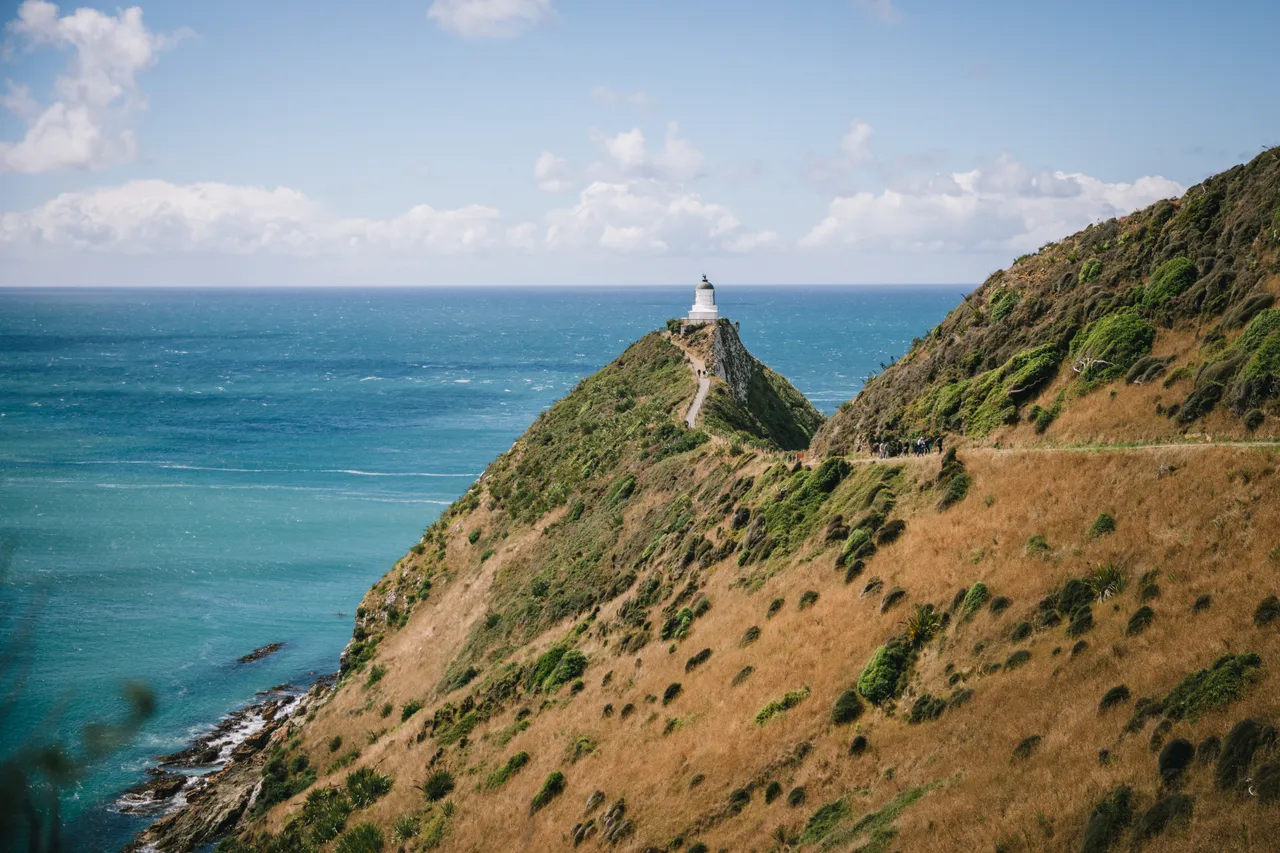 Nugget Point - Southland, New Zealand - Credit Liz Carlson (3)
