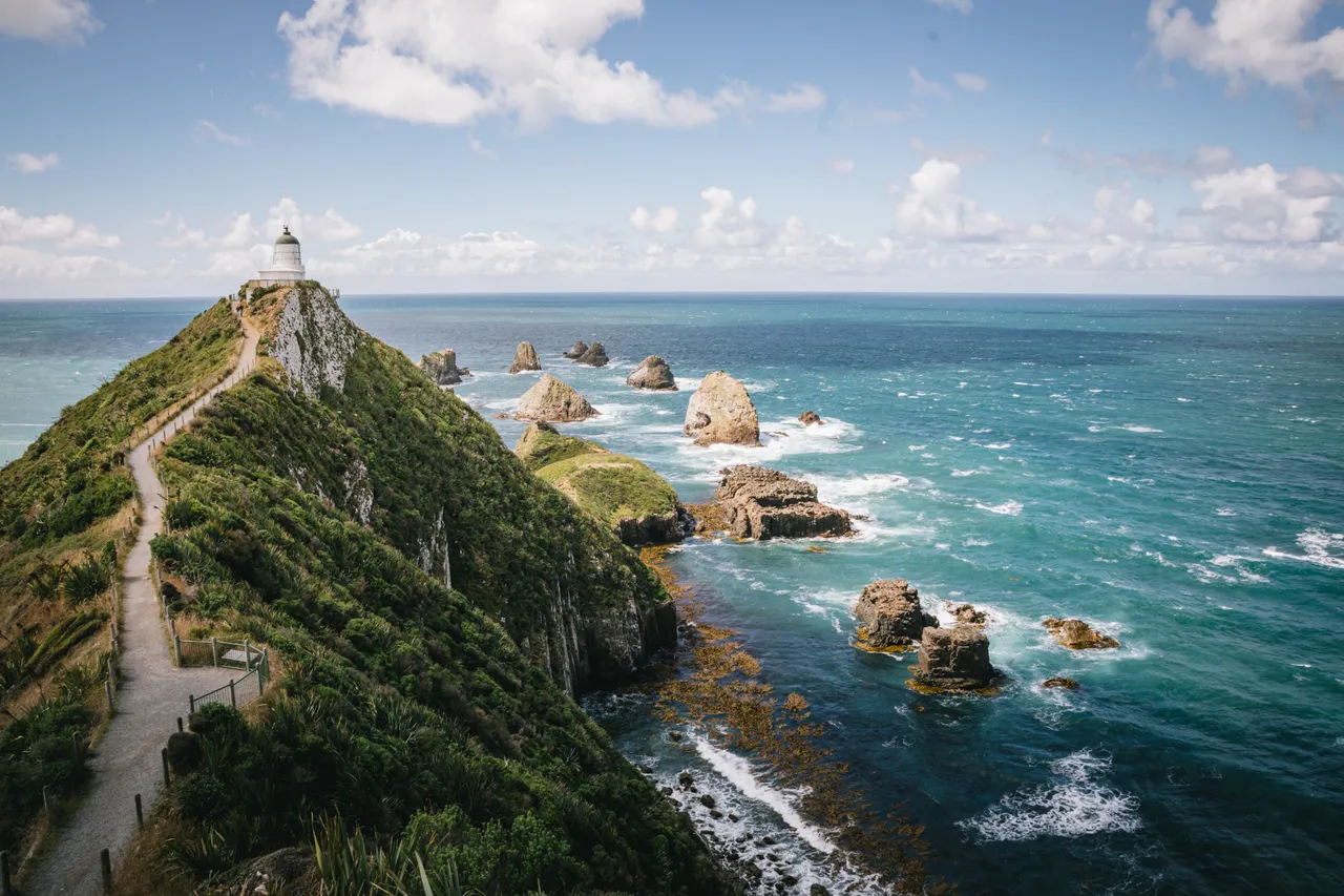 Nugget Point - Southland, New Zealand - Credit Liz Carlson (7)
