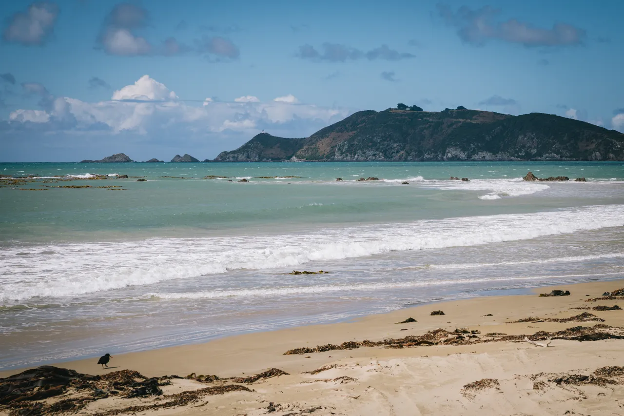 Kaka Point - Southland, New Zealand - Credit Liz Carlson (1)