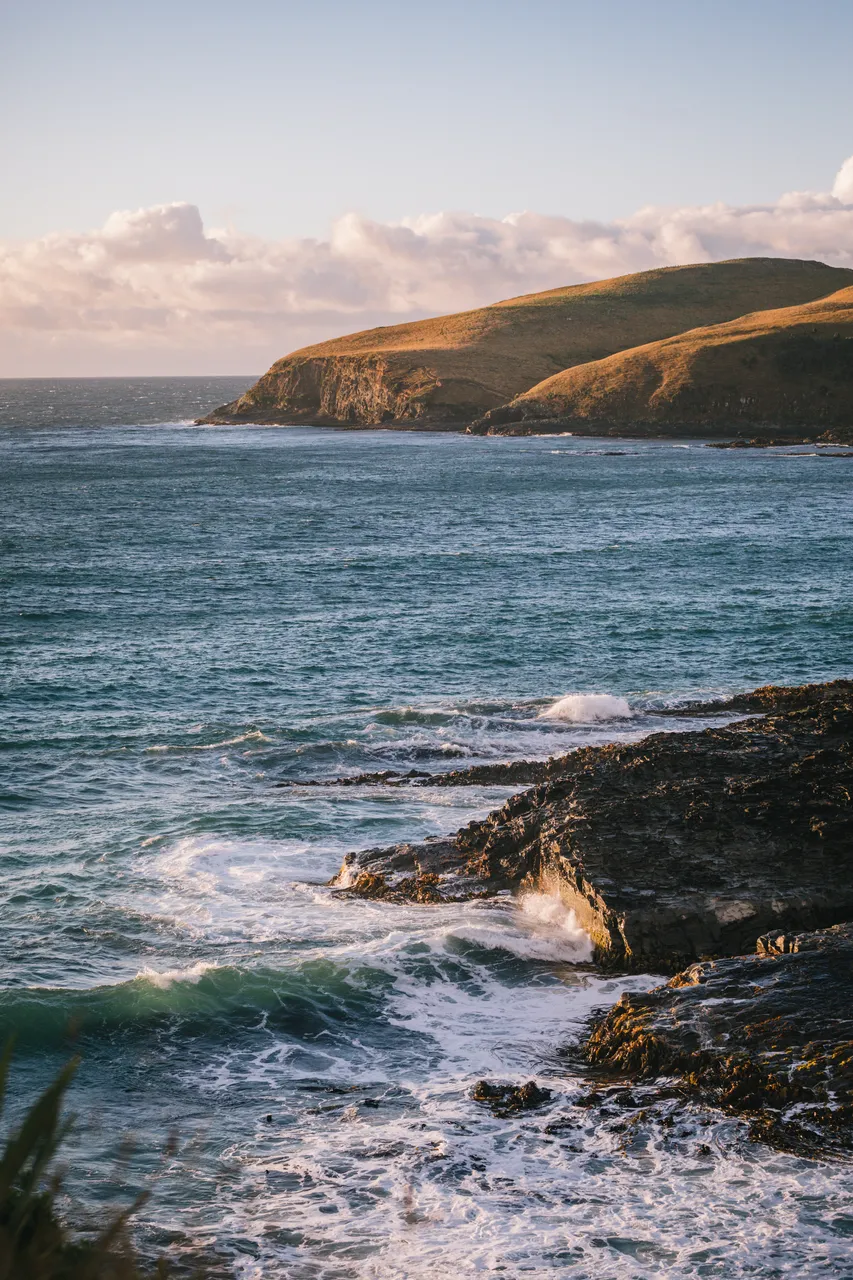 Catlins Tours - Southland, New Zealand - Credit Liz Carlson (6)