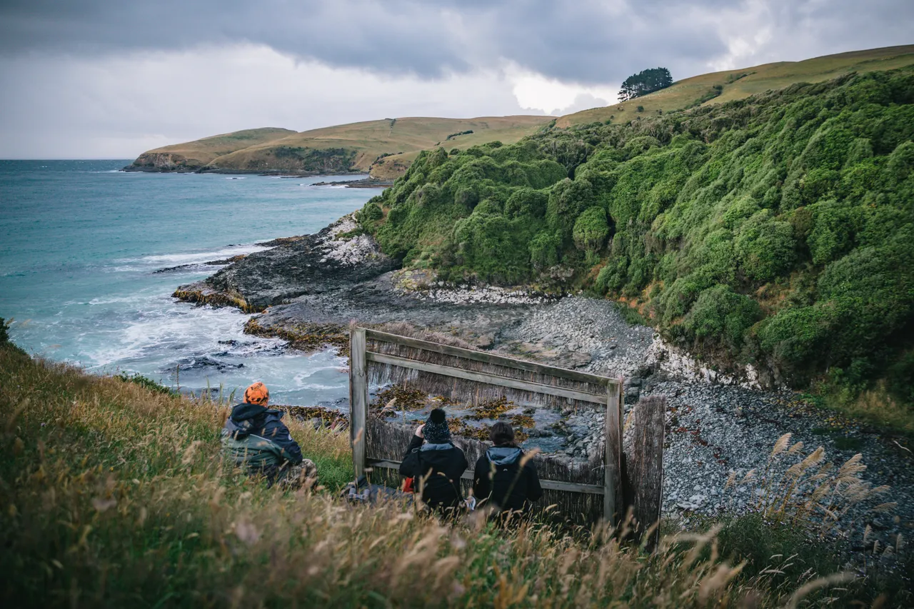 Catlins Tours - Southland, New Zealand - Credit Liz Carlson (2)