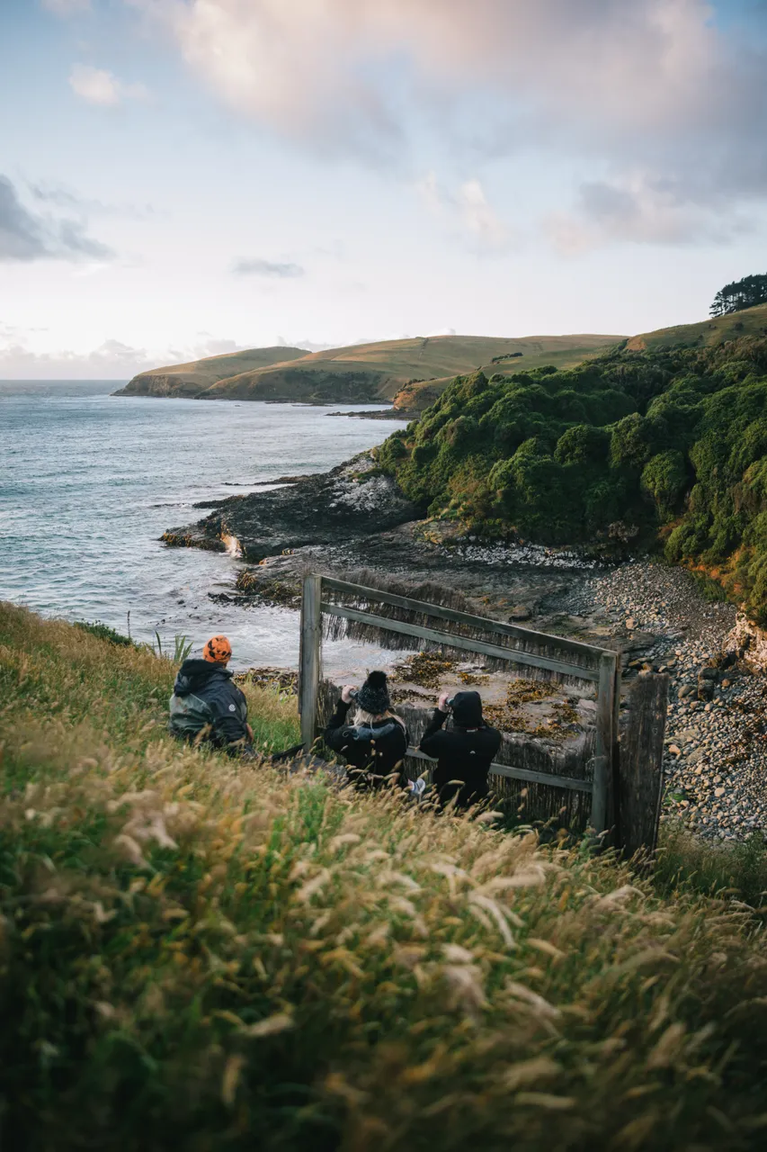 Catlins Tours - Southland, New Zealand - Credit Liz Carlson (4)