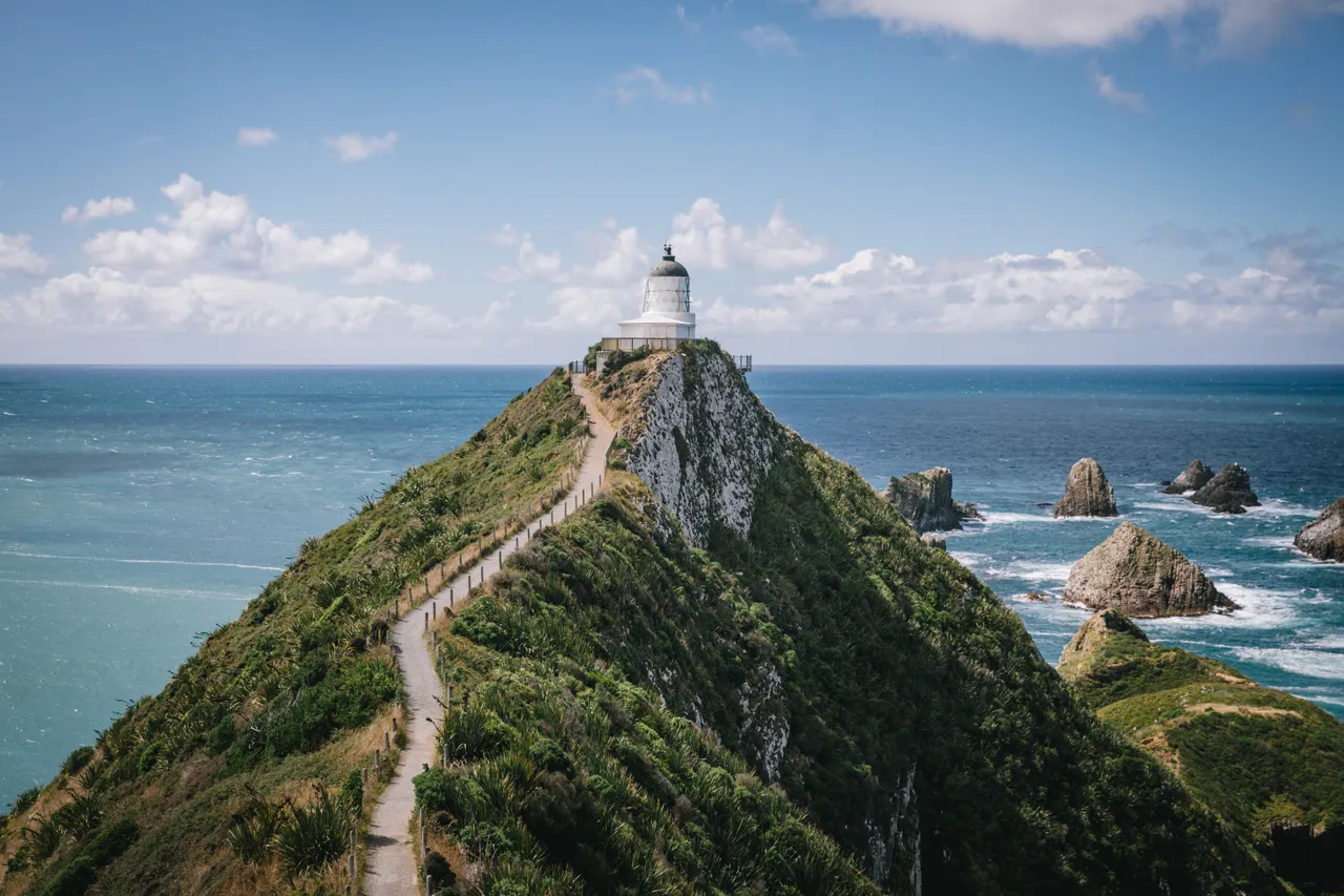 Nugget Point - Southland, New Zealand - Credit Liz Carlson (6)