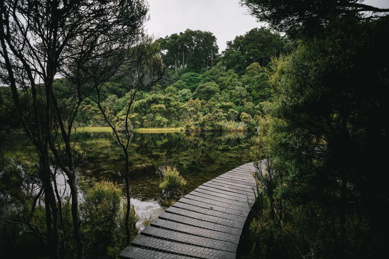 Lake Wilkie - Southland, New Zealand - Credit Liz Carlson (7)