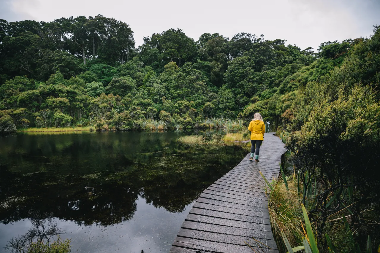 Lake Wilkie - Southland, New Zealand - Credit Liz Carlson (5)