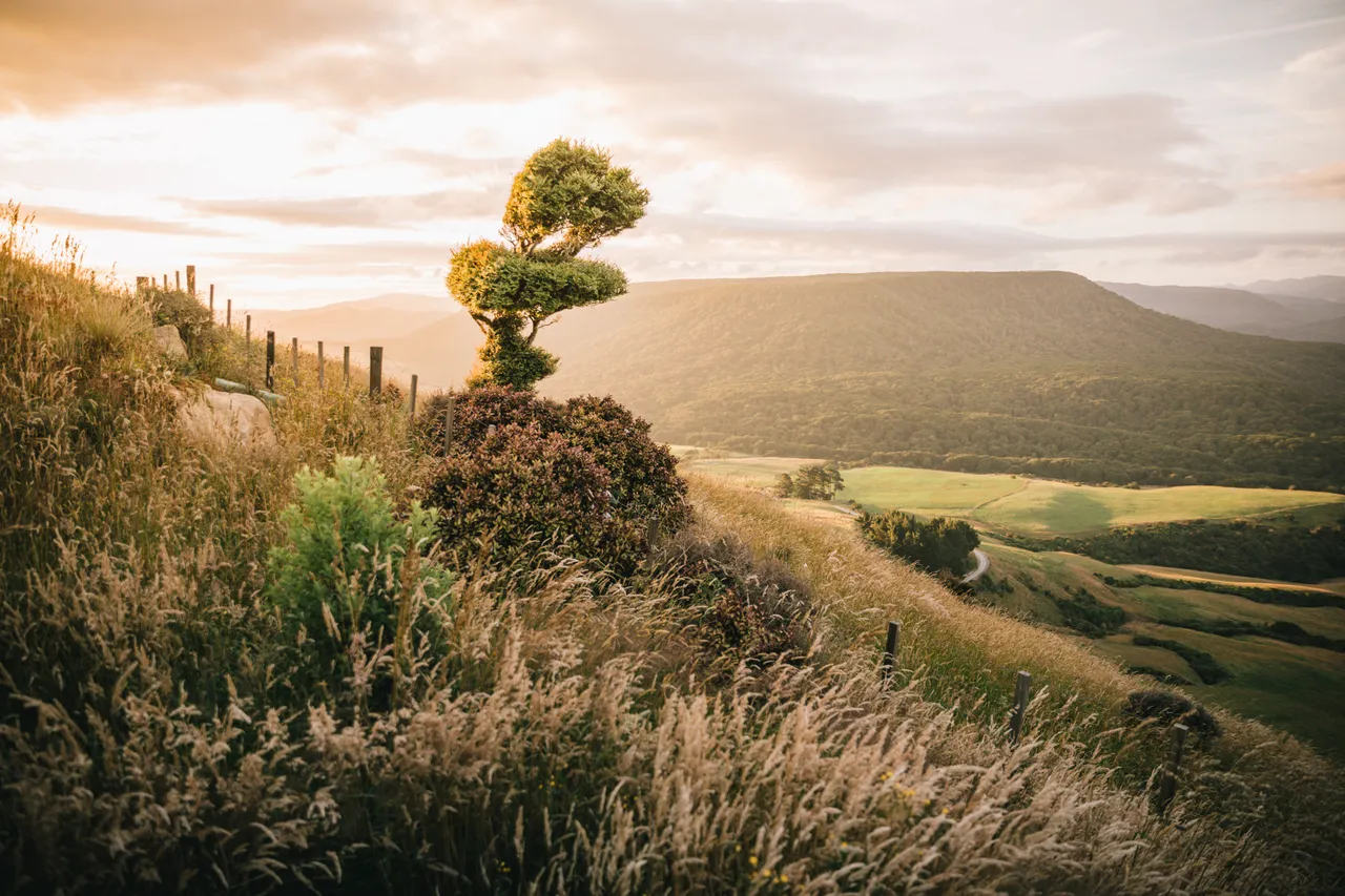 Beresford Heights - Southland, New Zealand - Credit Liz Carlson (6)