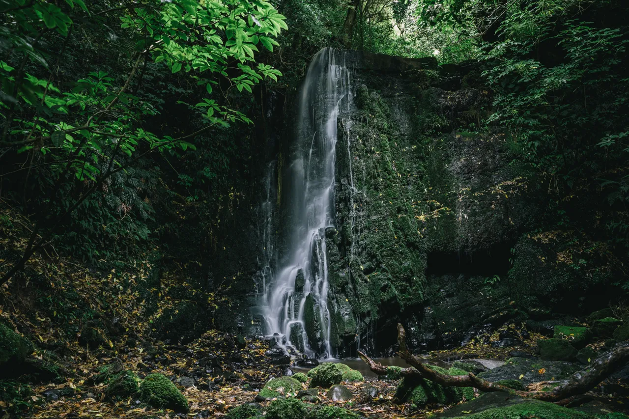 Matai Falls - Southland, New Zealand - Credit Liz Carlson (1)