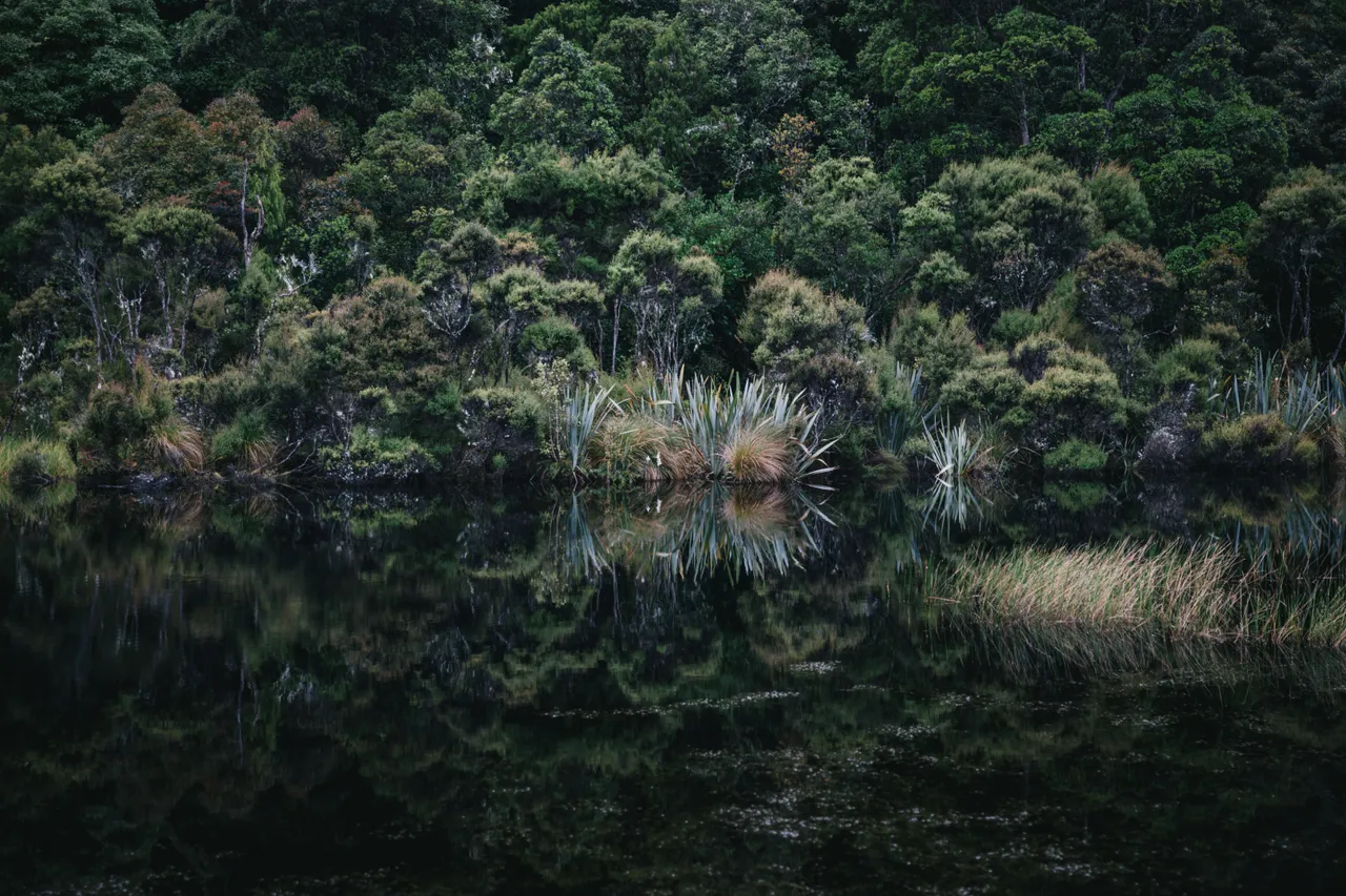 Lake Wilkie - Southland, New Zealand - Credit Liz Carlson (6)