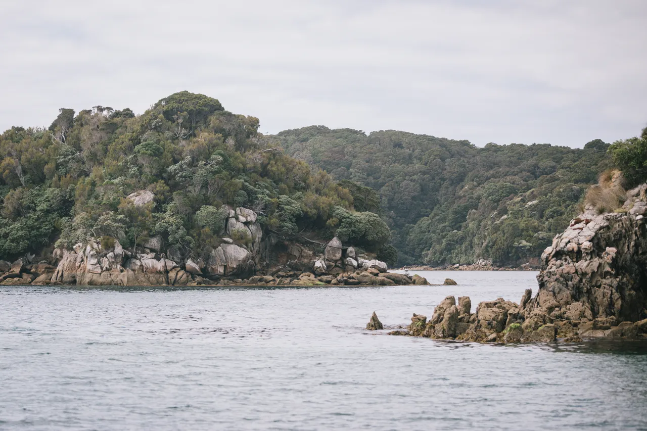 Ulva Island - Southland New Zealand - Credit Liz Carlson (5)