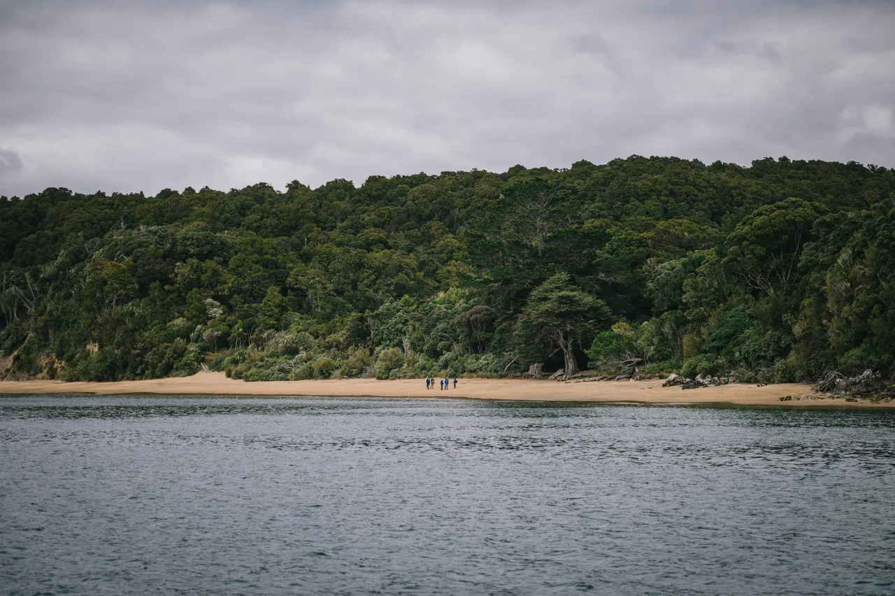 Ulva Island - Southland New Zealand - Credit Liz Carlson (1)