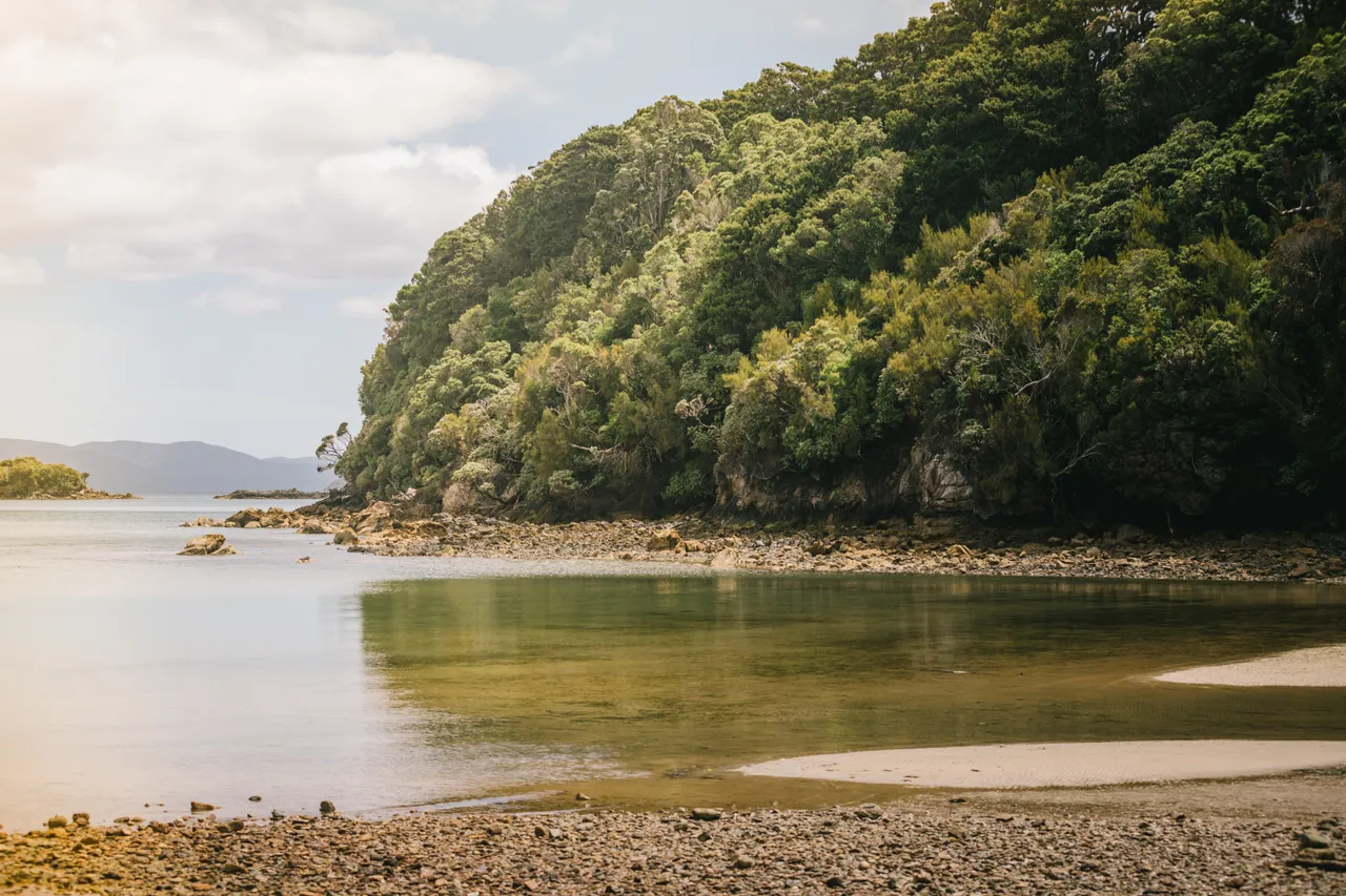 Stewart Island - Southland New Zealand - Credit Liz Carlson (29)