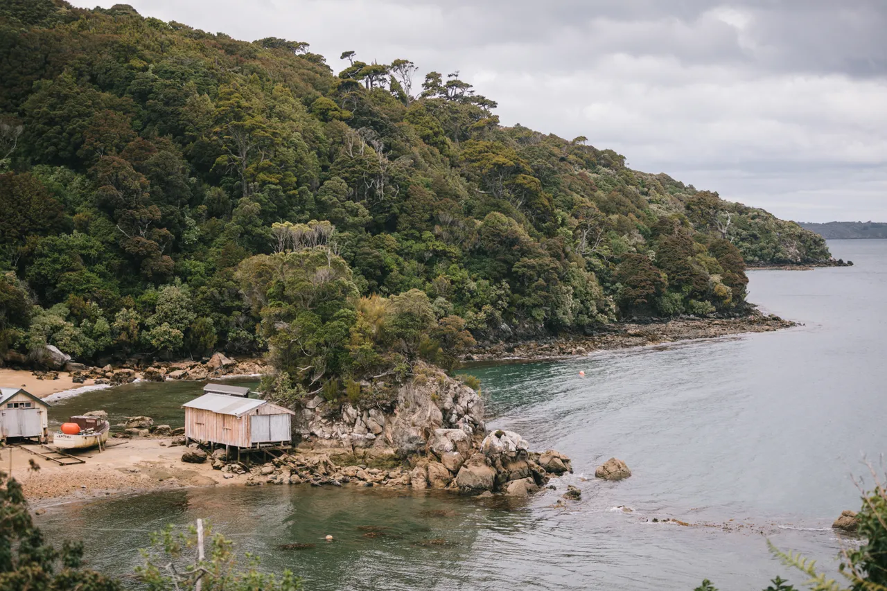 Stewart Island - Southland New Zealand - Credit Liz Carlson (26)