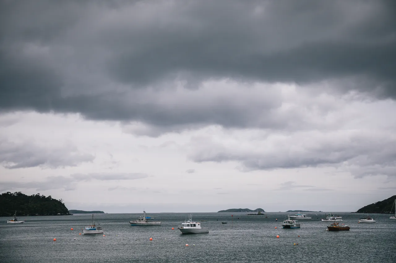 Stewart Island - Southland New Zealand - Credit Liz Carlson (27)