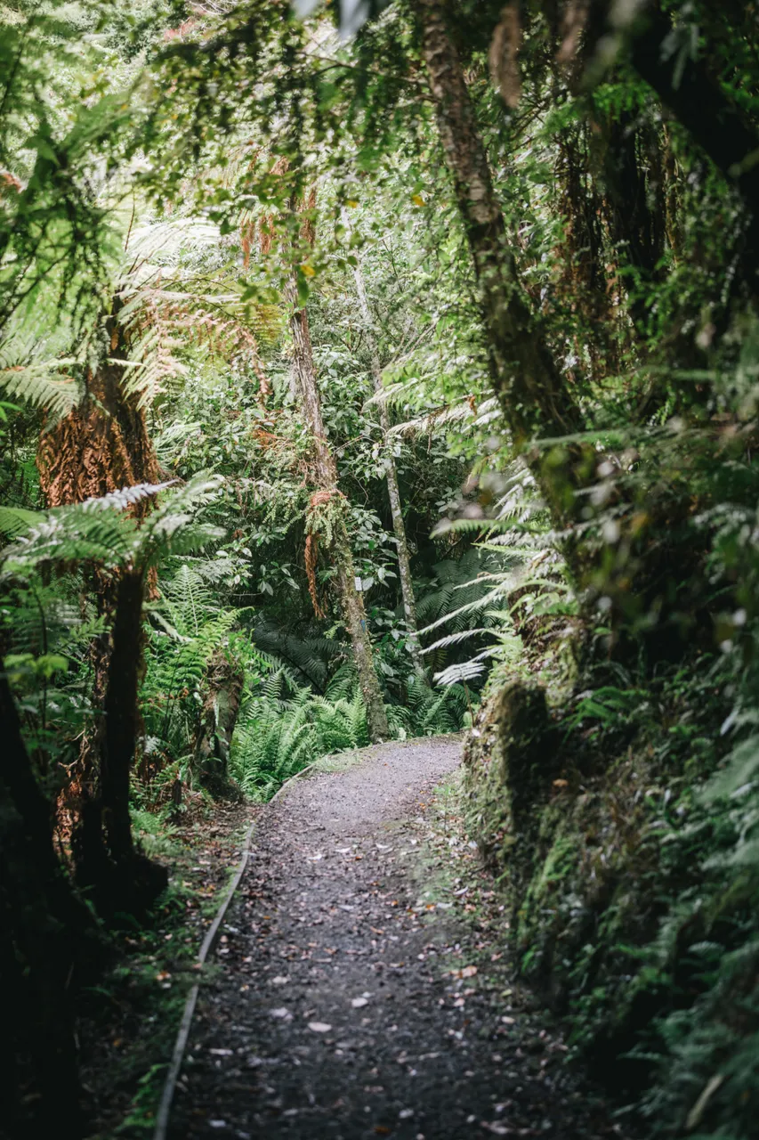 Stewart Island - Southland New Zealand - Credit Liz Carlson (20)