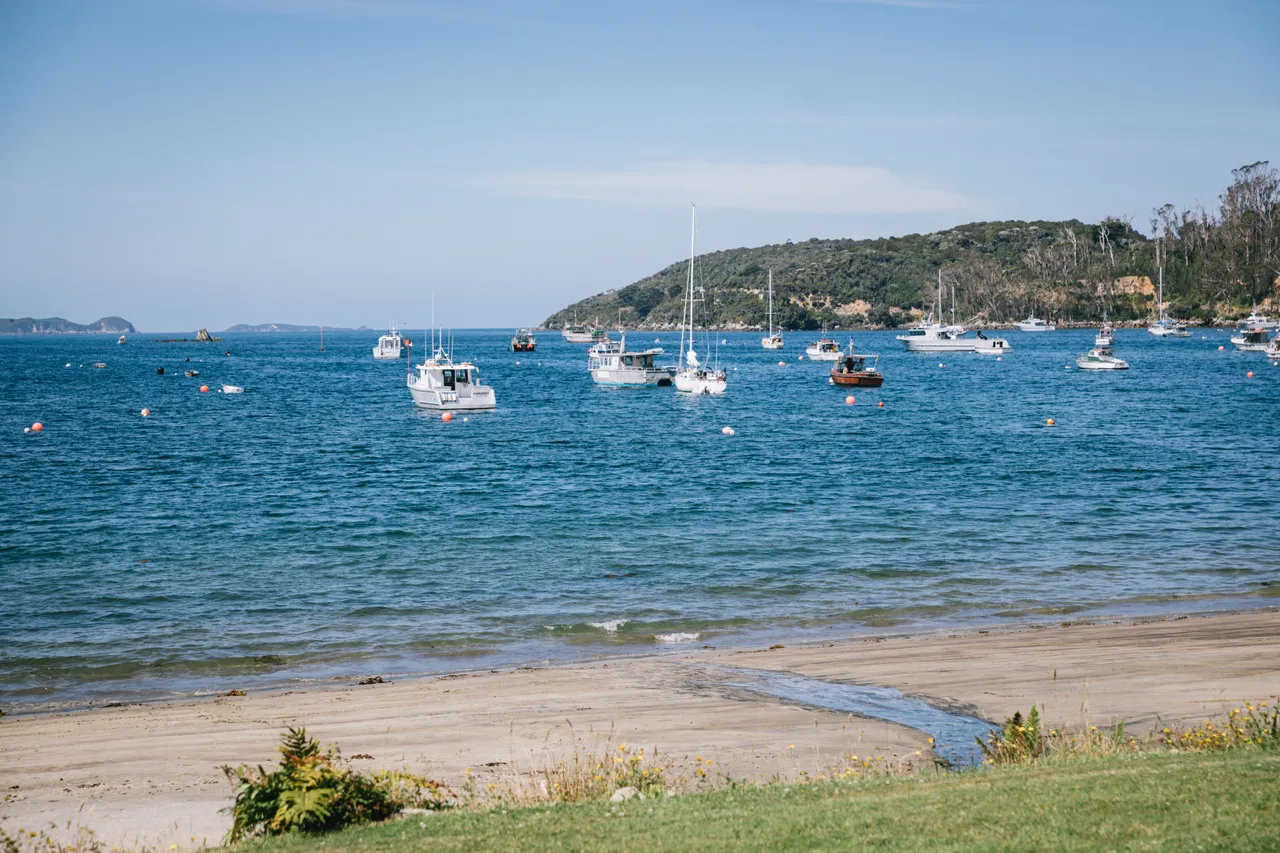 Stewart Island - Southland New Zealand - Credit Liz Carlson (16)