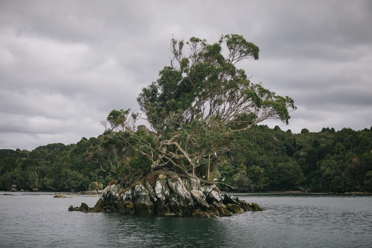 Stewart Island - Southland New Zealand - Credit Liz Carlson (14)