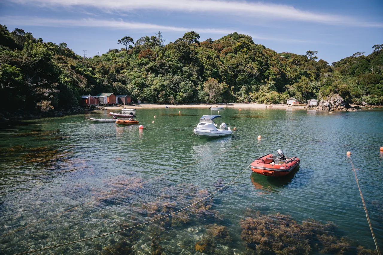 Stewart Island - Southland New Zealand - Credit Liz Carlson (15)