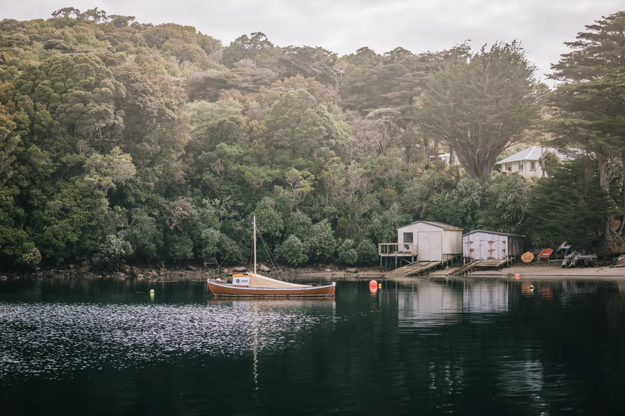 Stewart Island - Southland New Zealand - Credit Liz Carlson (12)