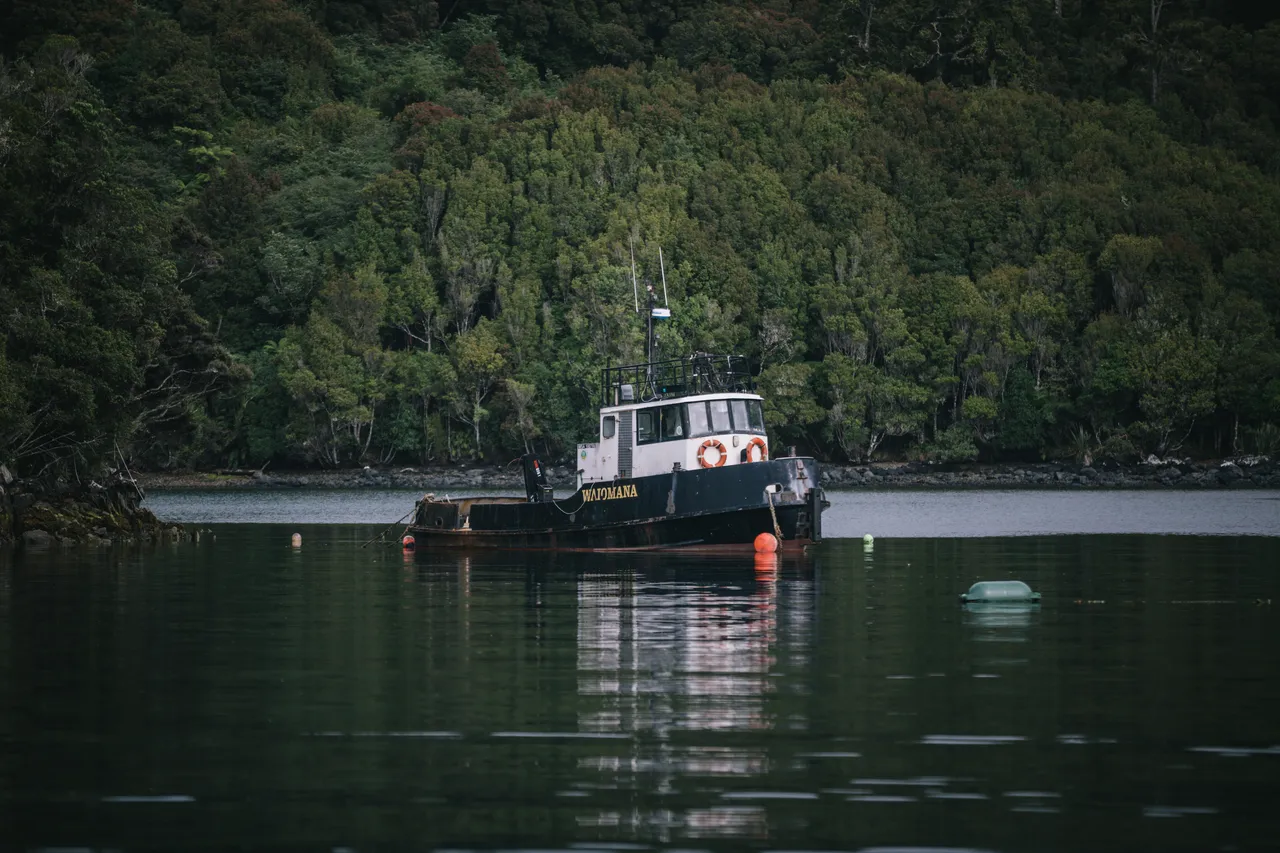 Stewart Island - Southland New Zealand - Credit Liz Carlson (13)