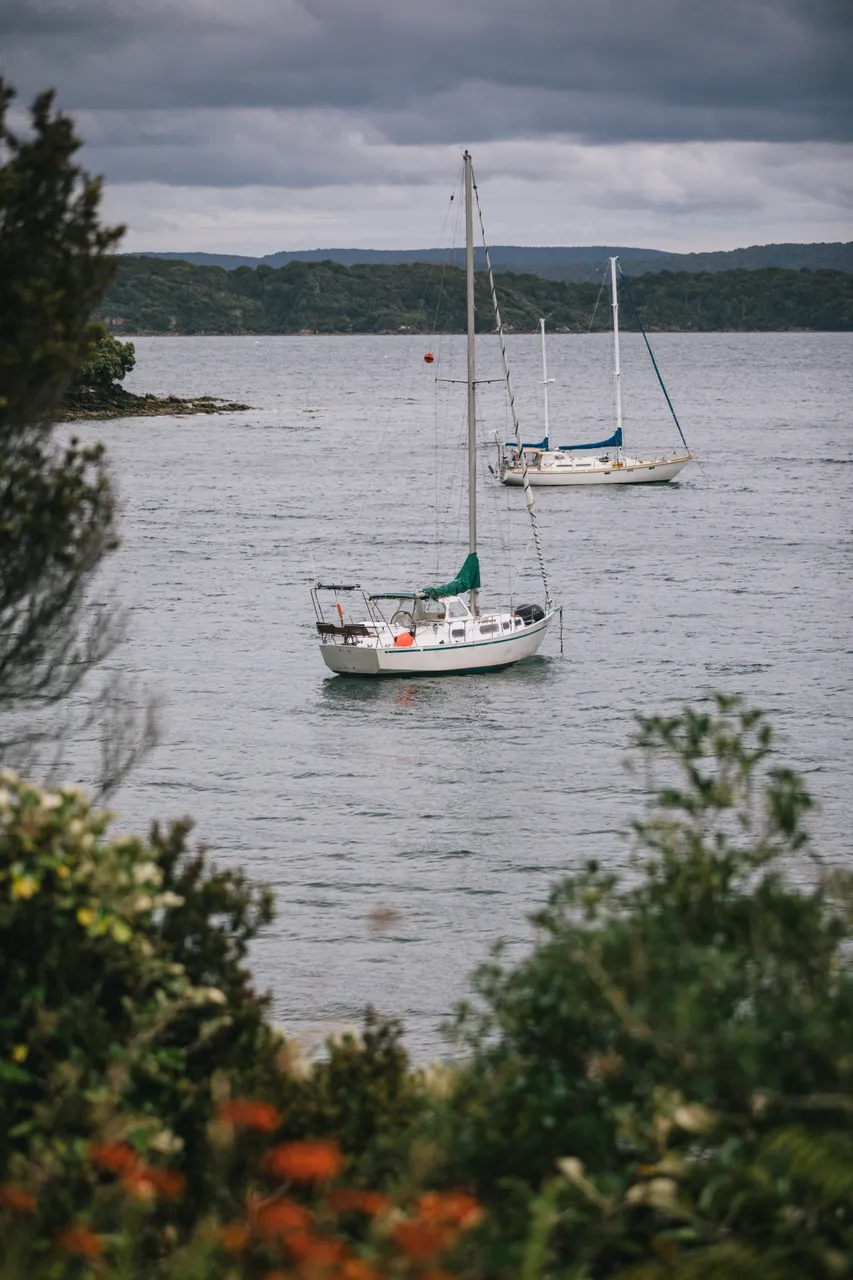 Stewart Island - Southland New Zealand - Credit Liz Carlson (24)