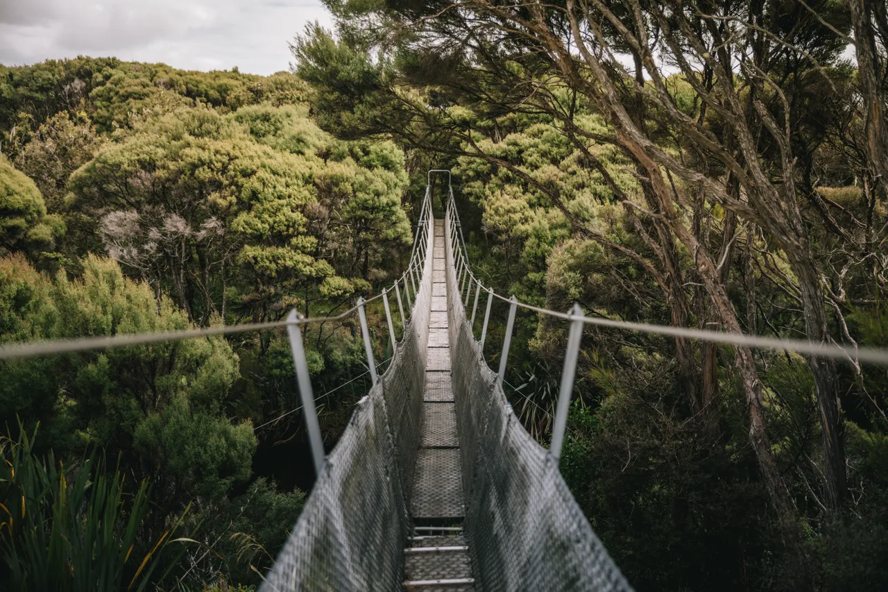 Mason Bay - Southland New Zealand - Credit Liz Carlson (25)