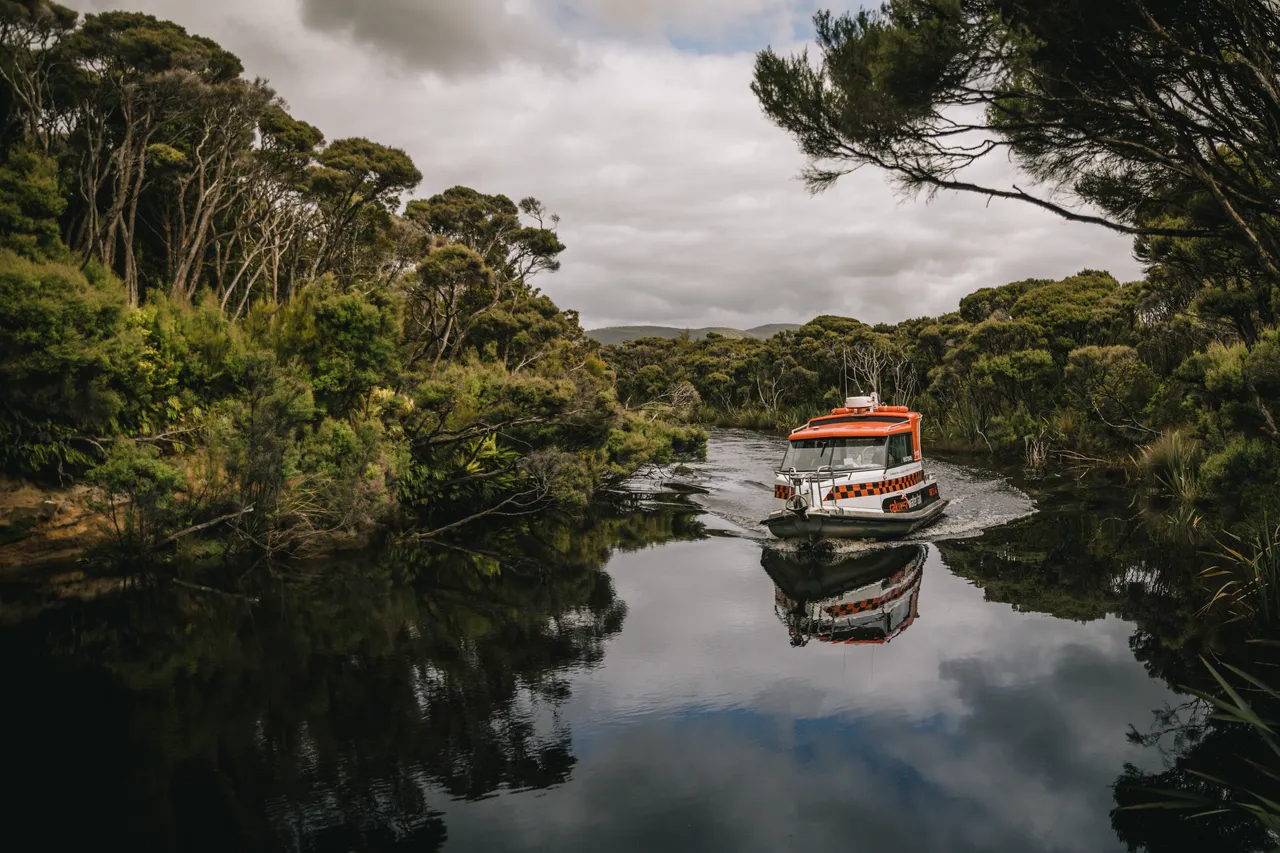 Mason Bay - Southland New Zealand - Credit Liz Carlson (28)