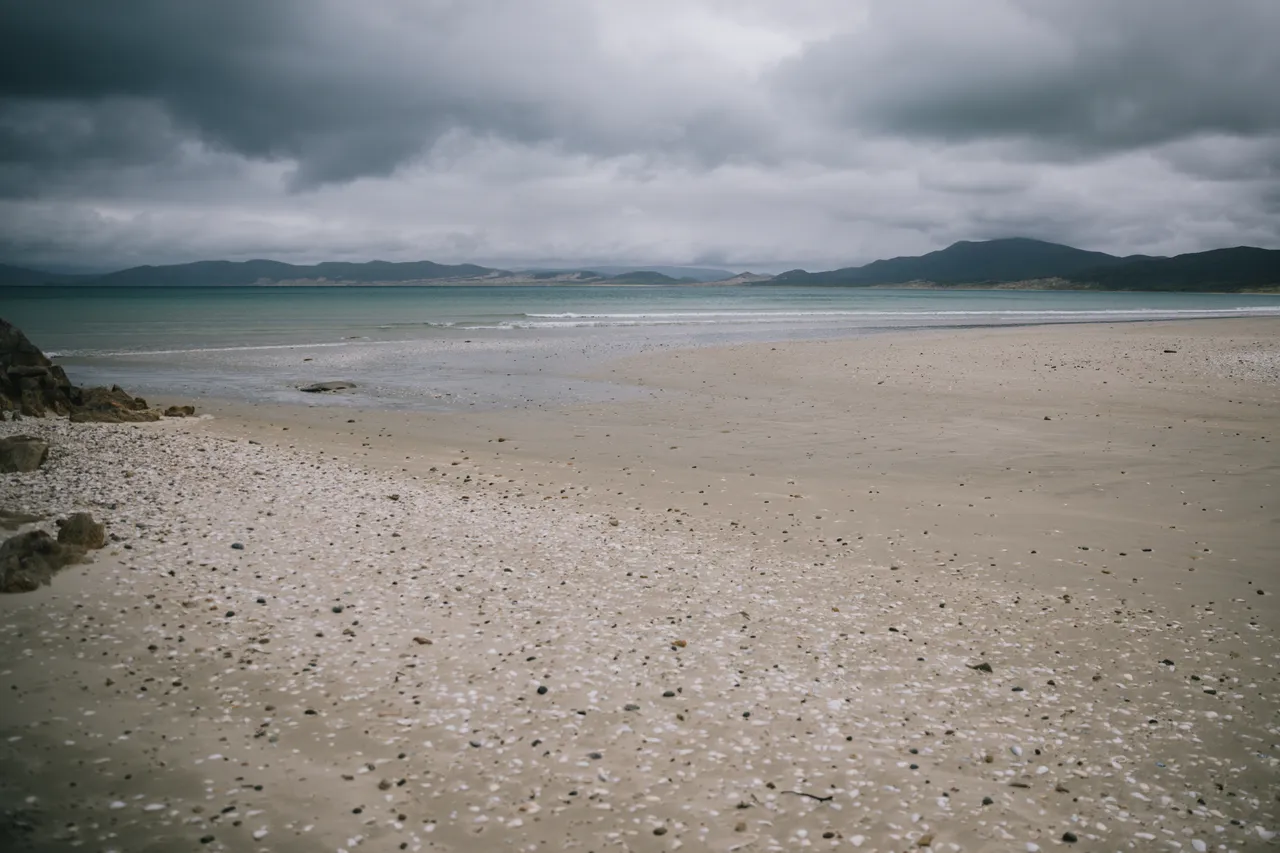 Mason Bay - Southland New Zealand - Credit Liz Carlson (8)